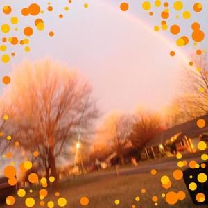 Meet your Posher, Braxton